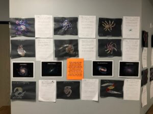 Student galaxy projects